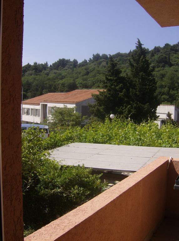Guesthouse Lautasevic Petrovac na moru Exterior foto